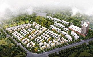 临汾大宁爆料事件最新,揭秘背后真相与网络舆论风暴